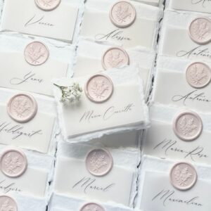 Platzkarte Namenskarte | Hochzeit | Geburtstag | Feierlichkeiten | Kalligrafiedruck | verschiedene Farben möglich